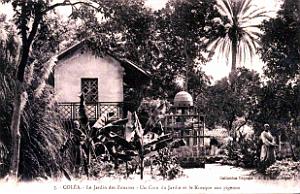 Colea - Le Jardin des Zouaves